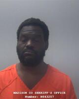 Mugshot of LEMONS, NARA RENE 