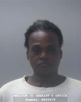 Mugshot of LOGAN, VICKIE ROSANNA
