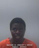Mugshot of COLEMAN, LISA MARIE