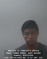 Mugshot of GOMEZPEREZ, ALDO ELISEO 